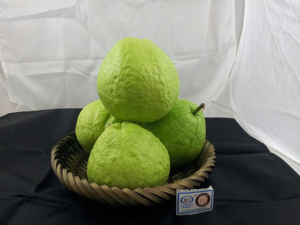 201205131008.jpg